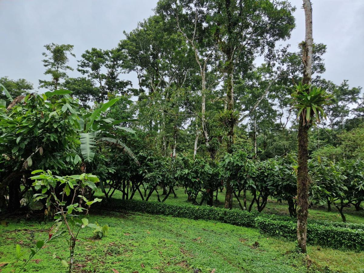 Finca Amistad Cacao Lodge Bijagua Luaran gambar
