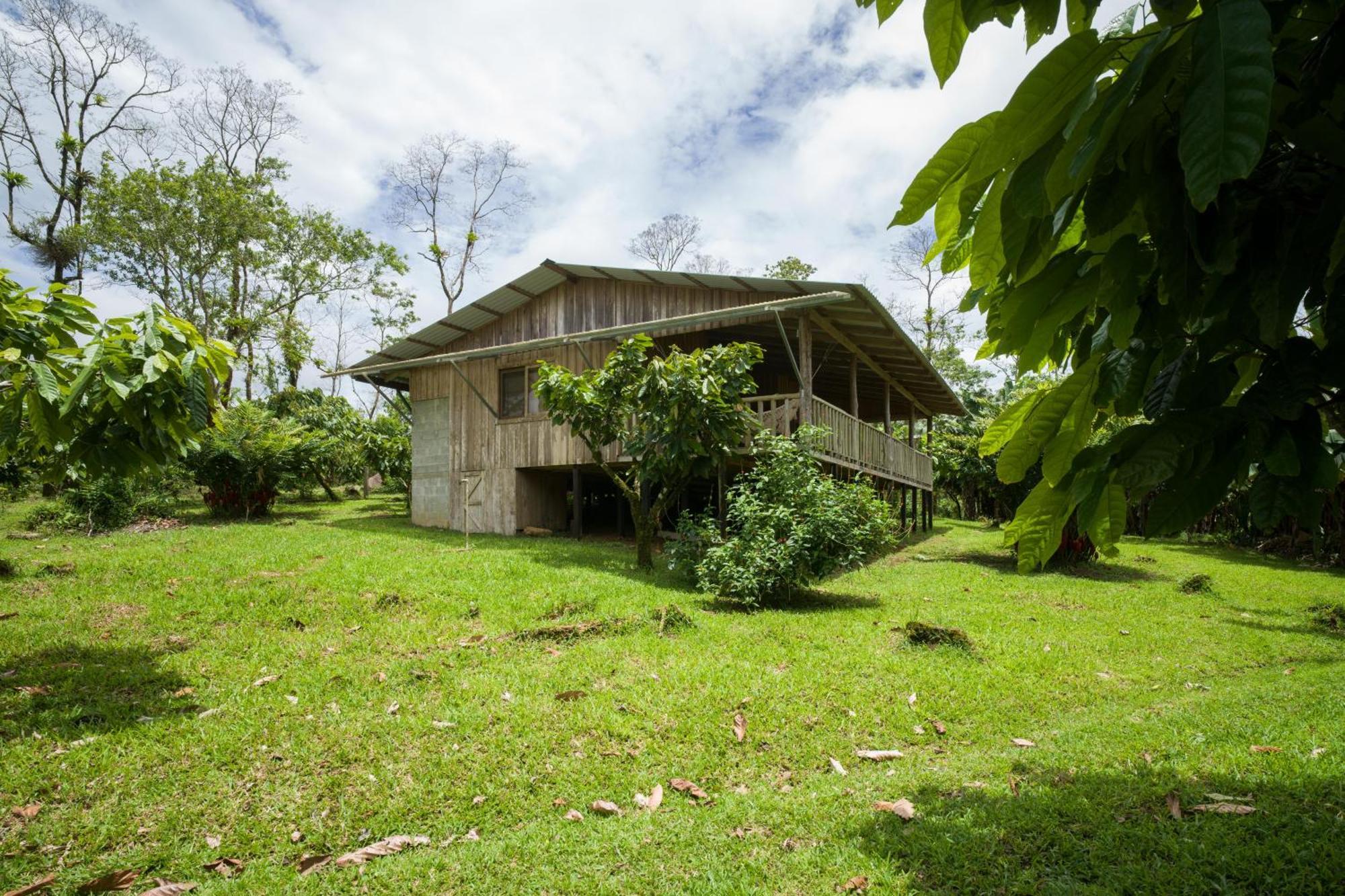 Finca Amistad Cacao Lodge Bijagua Luaran gambar