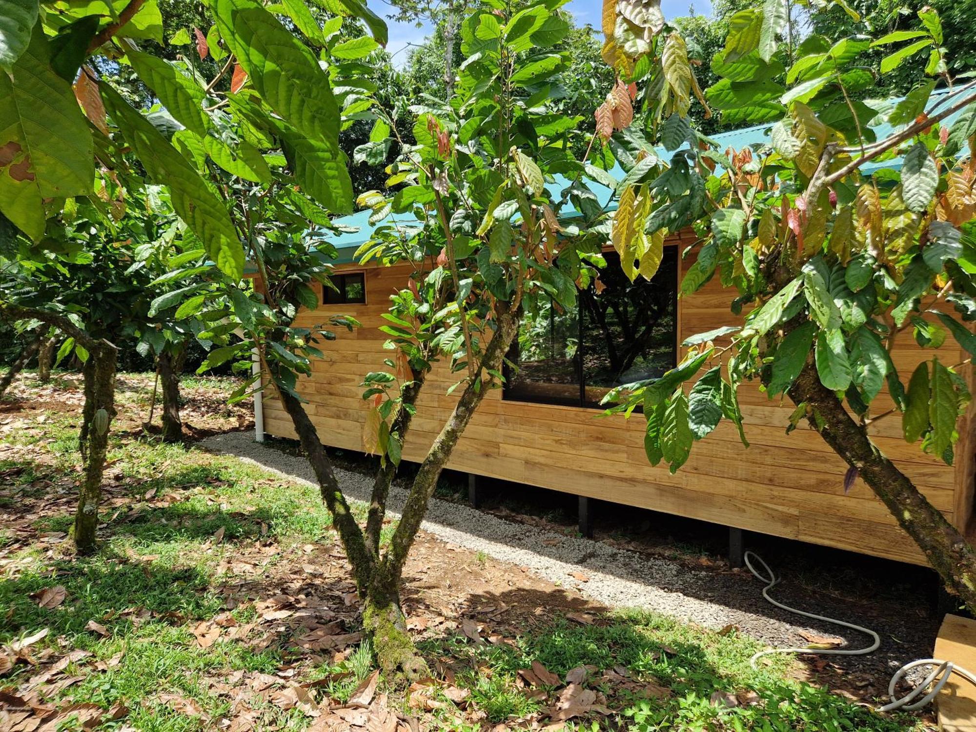 Finca Amistad Cacao Lodge Bijagua Luaran gambar