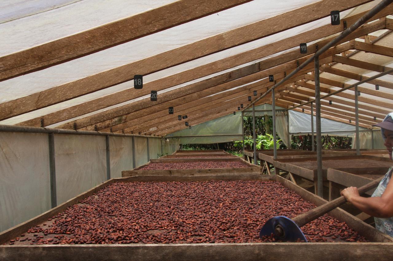 Finca Amistad Cacao Lodge Bijagua Luaran gambar