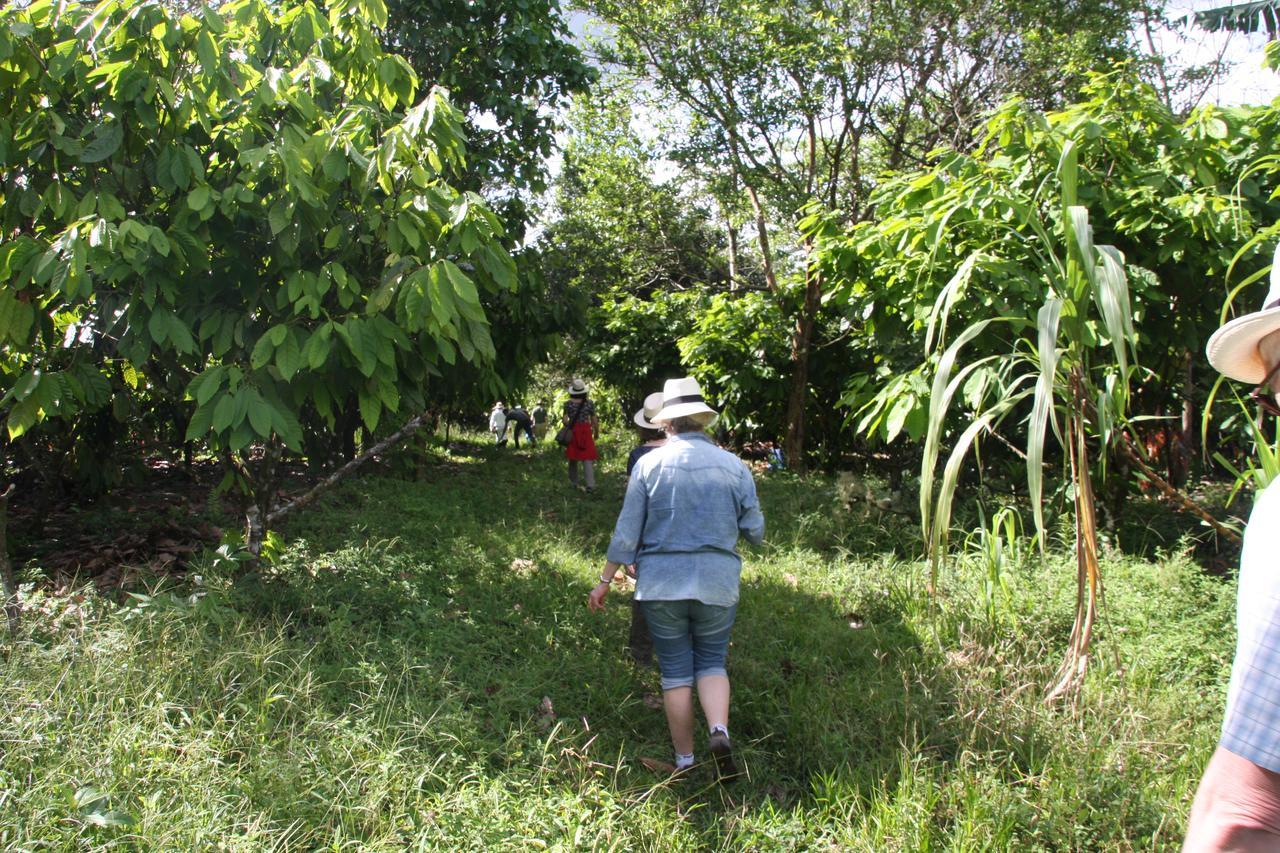 Finca Amistad Cacao Lodge Bijagua Luaran gambar