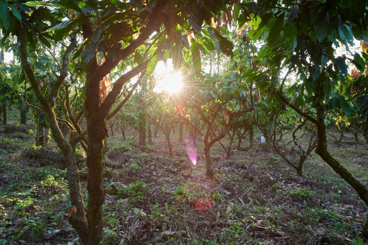 Finca Amistad Cacao Lodge Bijagua Luaran gambar